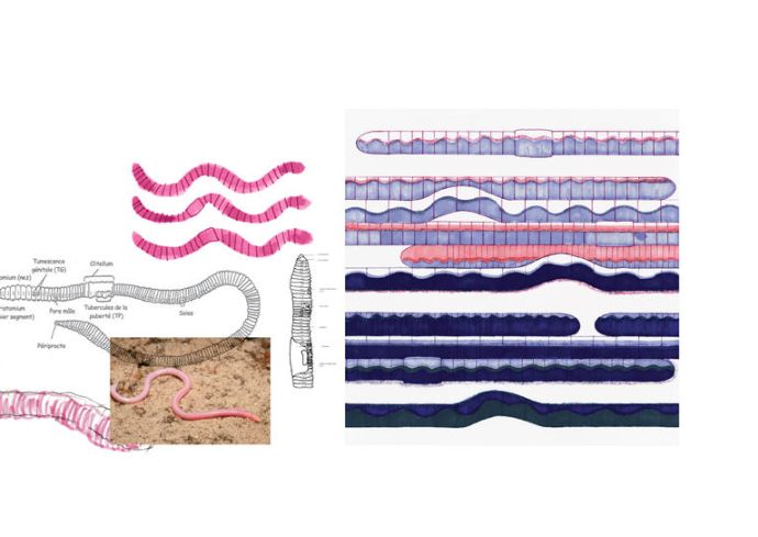 352fc40836d61388087cfbf6c0467ff7screen