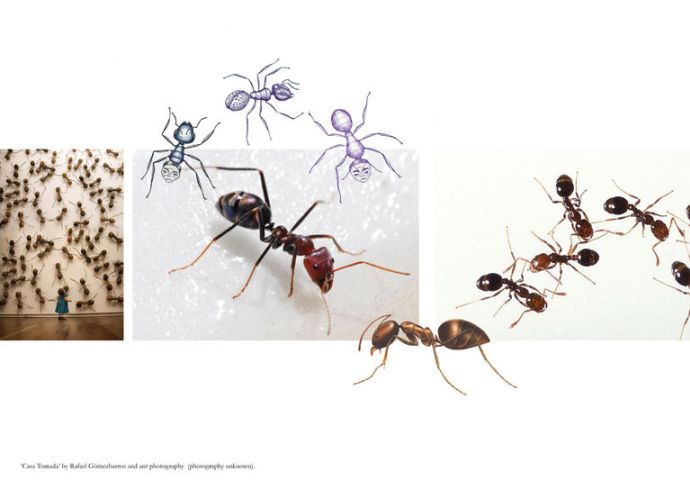 a47520f17f2871b680cf439b1a75f7a3screen