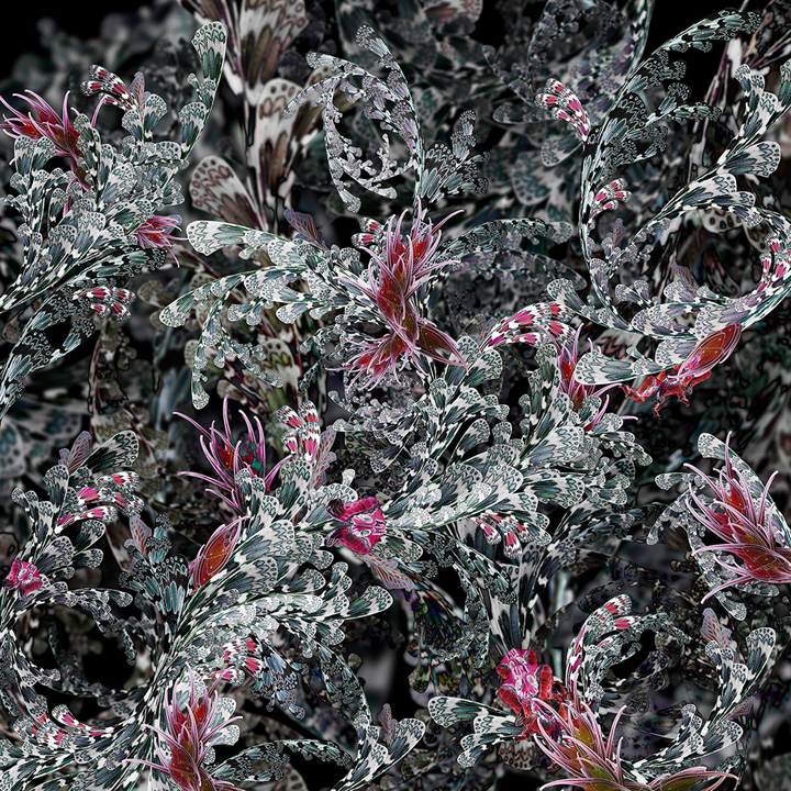 Mathias-Vef_Amphigony V