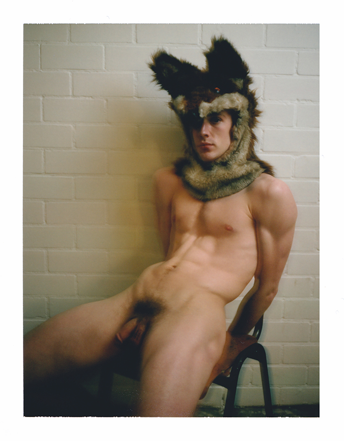BENFOX