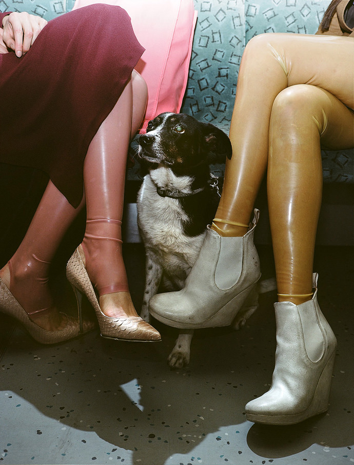 10_dog-with-pearl-eyes-Berlin_mini