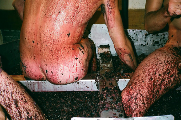 16_le cul dans le raisin, Condrieu maxime_1026_770_resize_90_mini