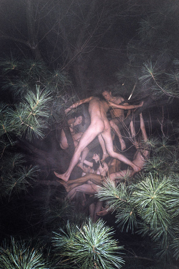 RM_tree_1_20031_mini