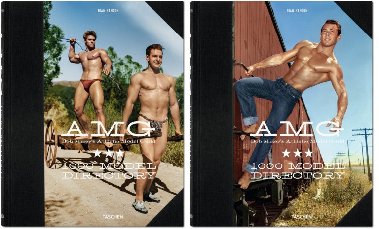 mizer_amg_model_directory_va_int_v1_v2_3d_04606_1606201020_id_1060182