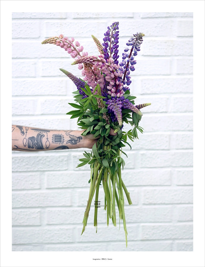 Floriography_Lupine_mini