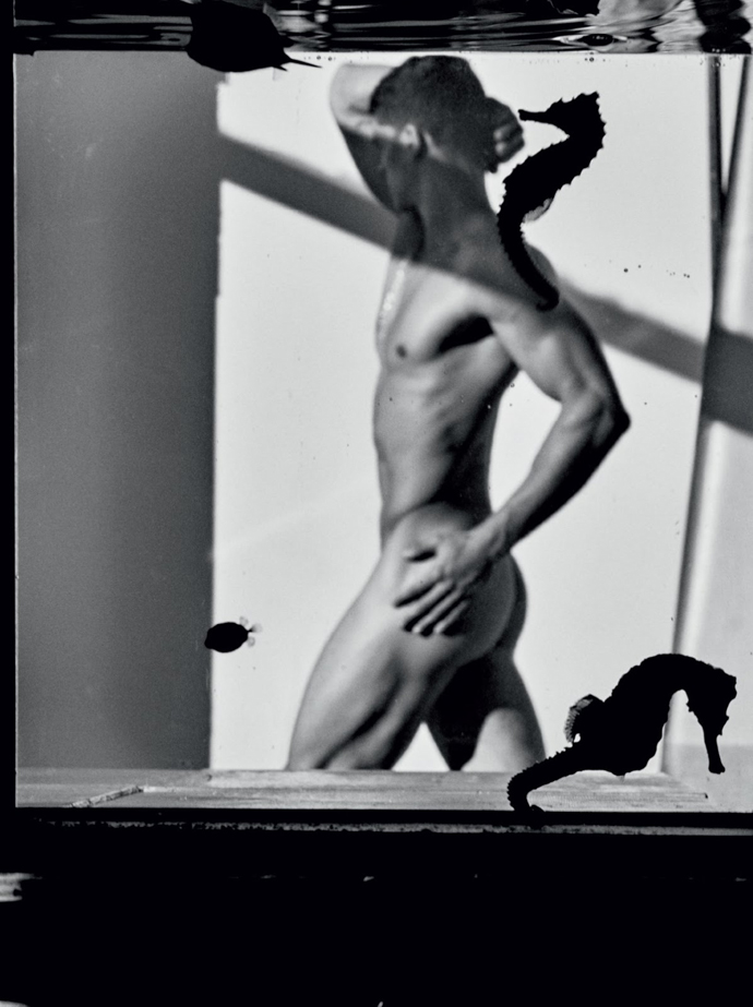 Scylla-Vivanco-Homotography-KingKong-15