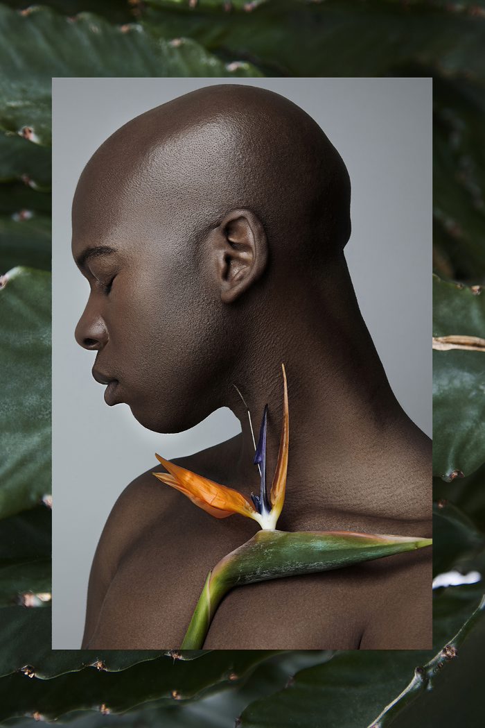 Urbangarden1